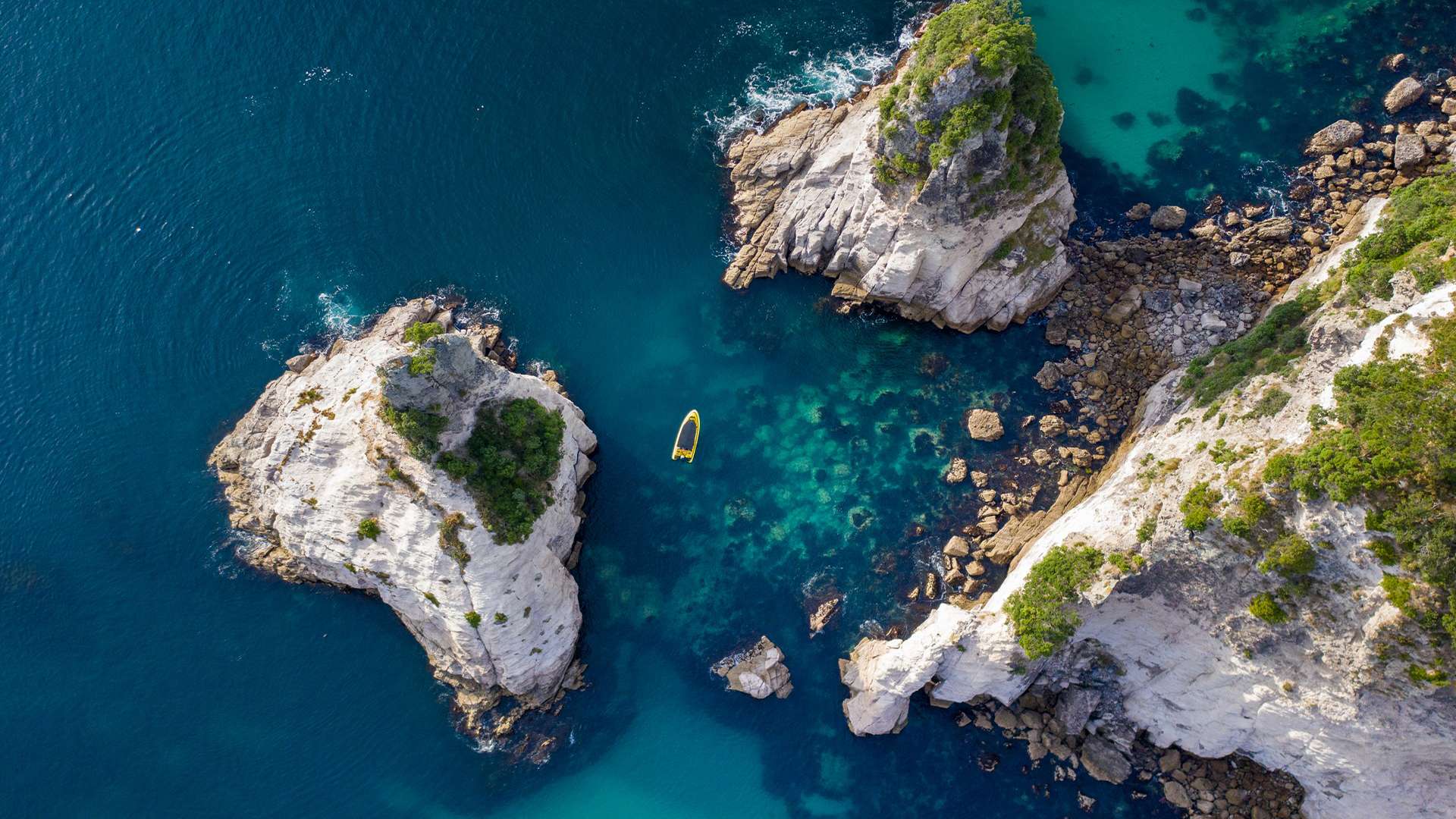 Coromandel Cathedral Cove Boat Tour